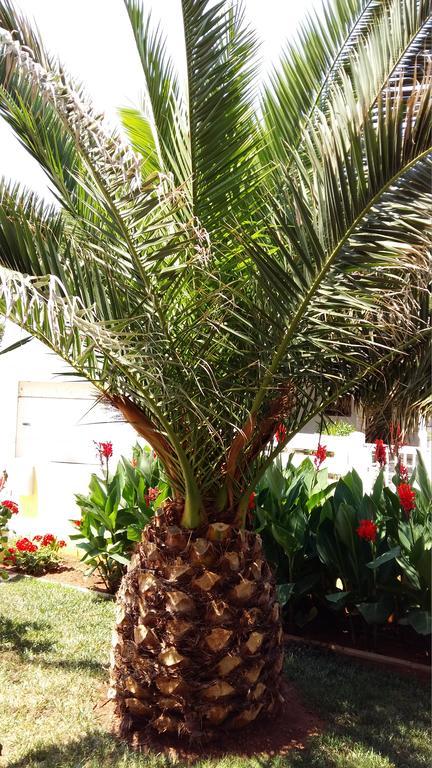 Apartments Vila Ana فير المظهر الخارجي الصورة